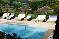 Gallery Thumbnail Image